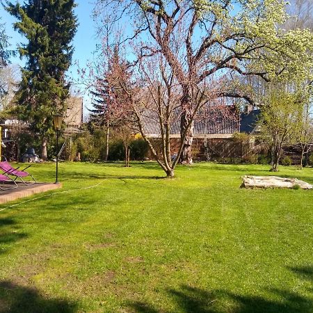 Bleichehof Villa Burg  Bagian luar foto