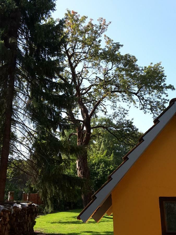 Bleichehof Villa Burg  Bagian luar foto